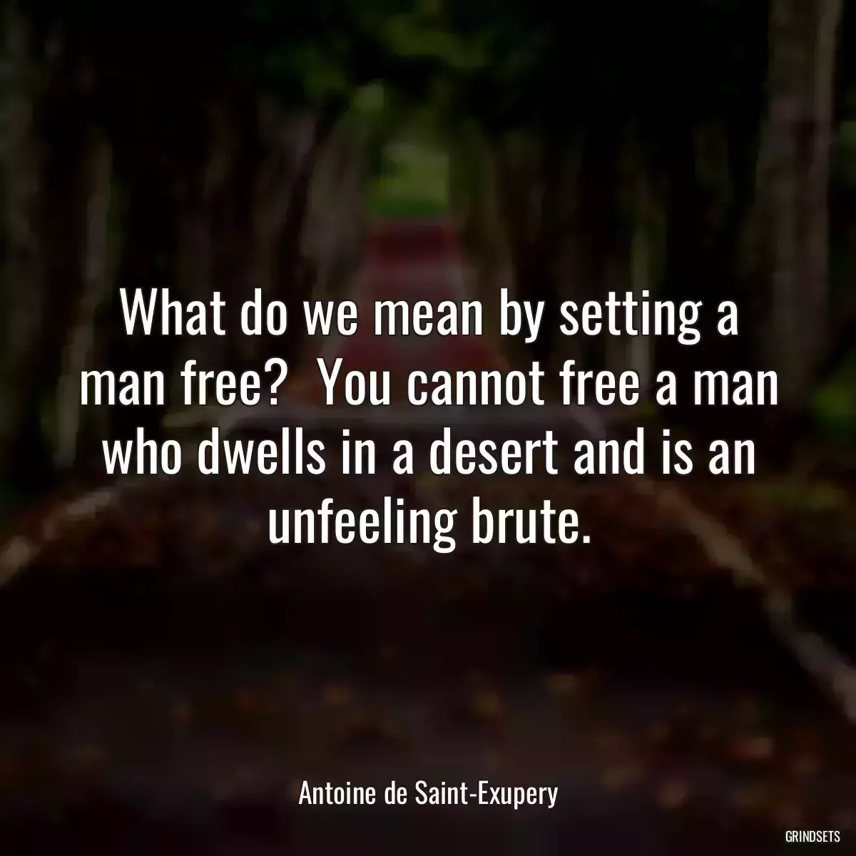 What do we mean by setting a man free?  You cannot free a man who dwells in a desert and is an unfeeling brute.