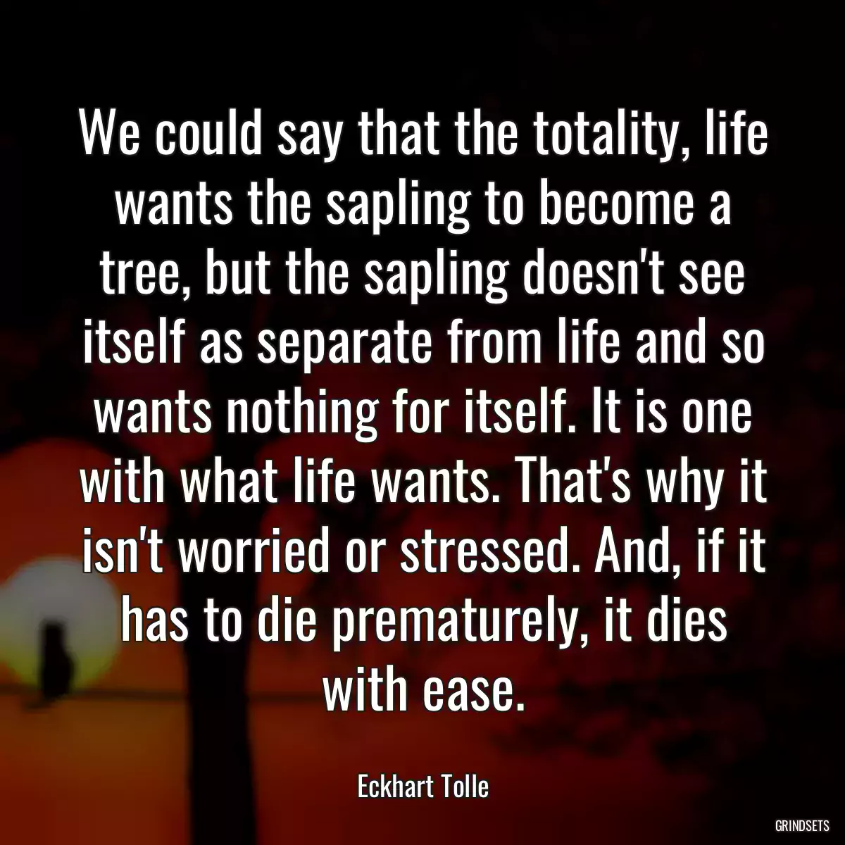 We could say that the totality, life wants the sapling to become a tree, but the sapling doesn\'t see itself as separate from life and so wants nothing for itself. It is one with what life wants. That\'s why it isn\'t worried or stressed. And, if it has to die prematurely, it dies with ease.