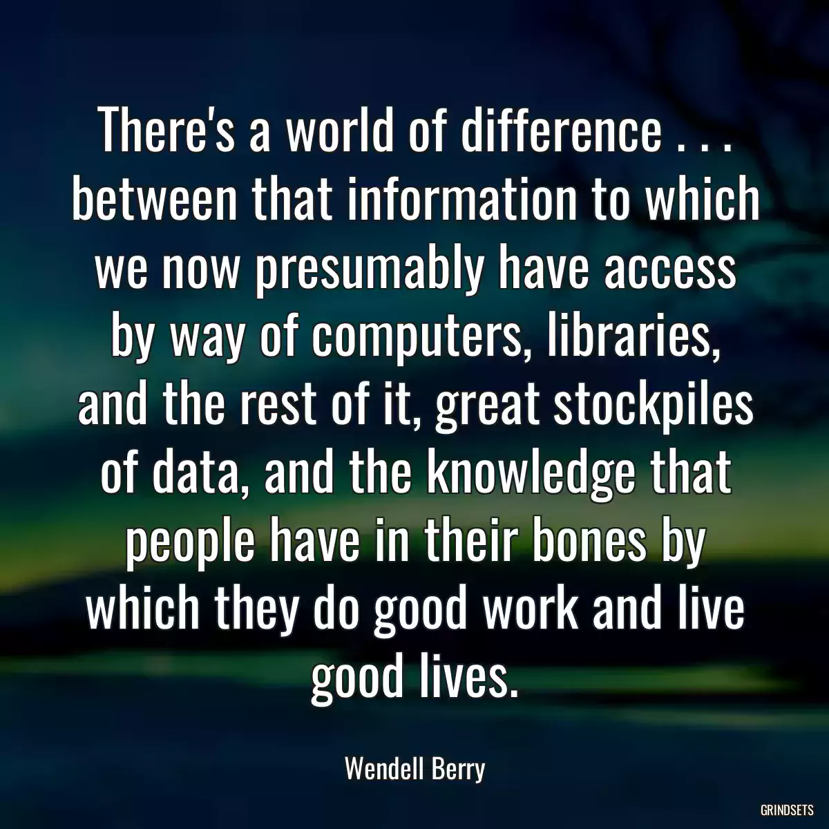 There\'s a world of difference . . . between that information to which we now presumably have access by way of computers, libraries, and the rest of it, great stockpiles of data, and the knowledge that people have in their bones by which they do good work and live good lives.