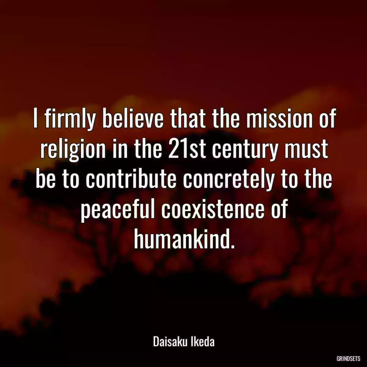 I firmly believe that the mission of religion in the 21st century must be to contribute concretely to the peaceful coexistence of humankind.