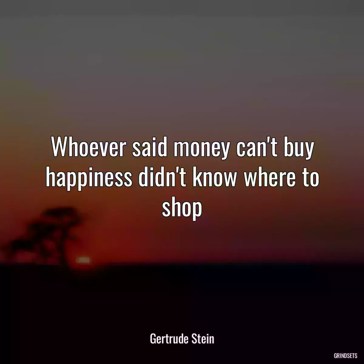 Whoever said money can\'t buy happiness didn\'t know where to shop