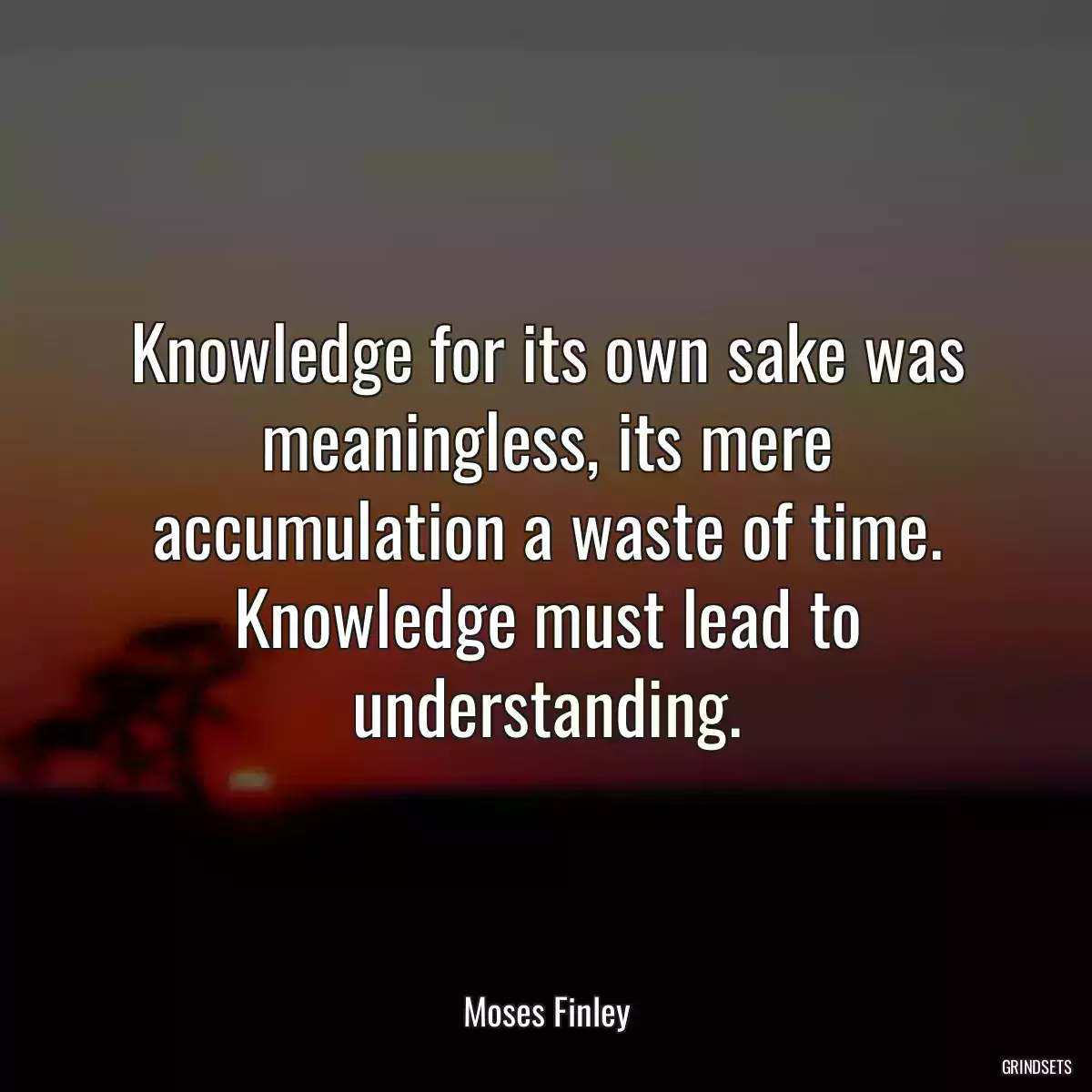 Knowledge for its own sake was meaningless, its mere accumulation a waste of time. Knowledge must lead to understanding.