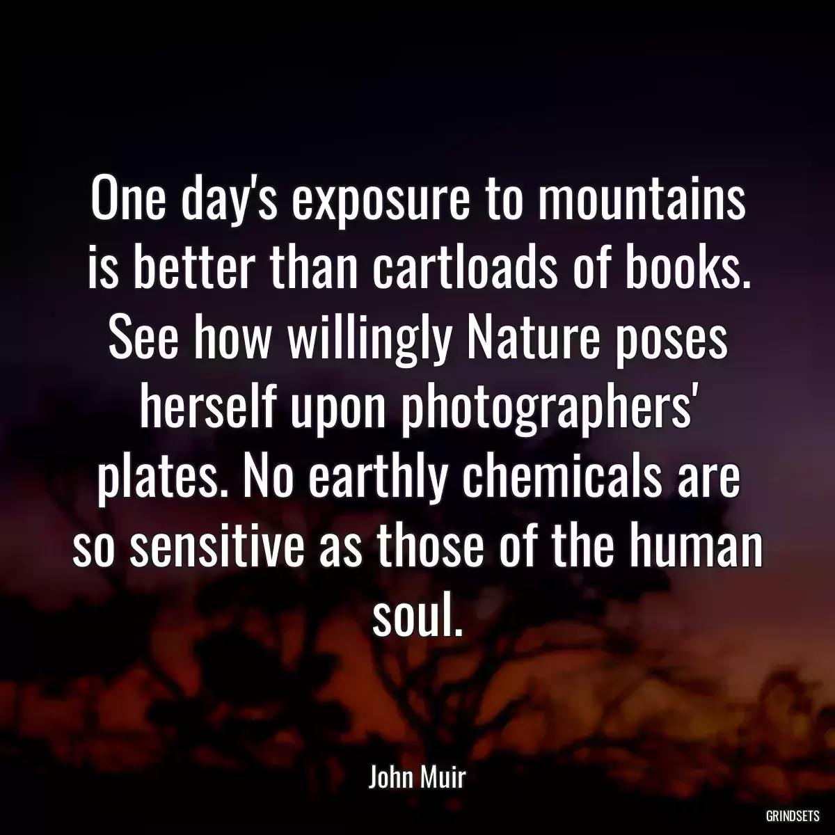 One day\'s exposure to mountains is better than cartloads of books. See how willingly Nature poses herself upon photographers\' plates. No earthly chemicals are so sensitive as those of the human soul.