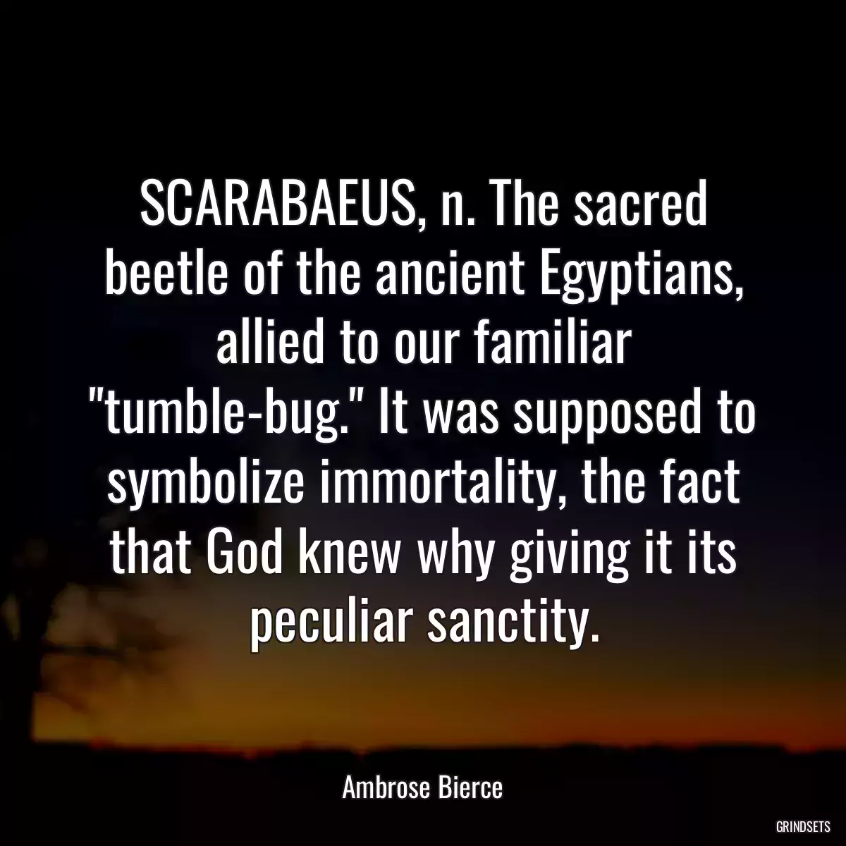 SCARABAEUS, n. The sacred beetle of the ancient Egyptians, allied to our familiar \