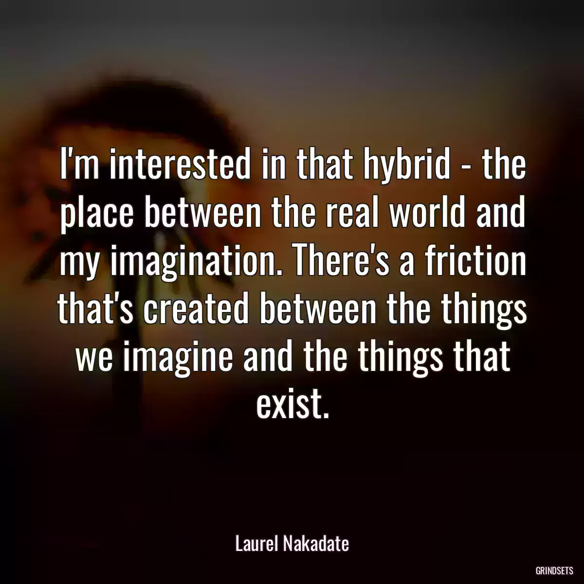 I\'m interested in that hybrid - the place between the real world and my imagination. There\'s a friction that\'s created between the things we imagine and the things that exist.