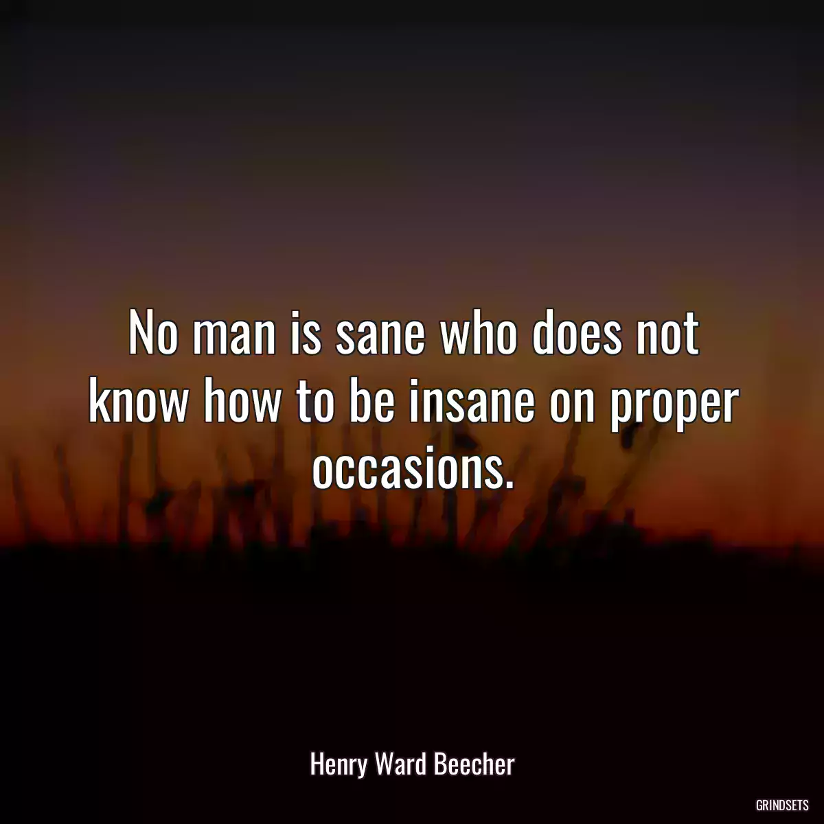 No man is sane who does not know how to be insane on proper occasions.