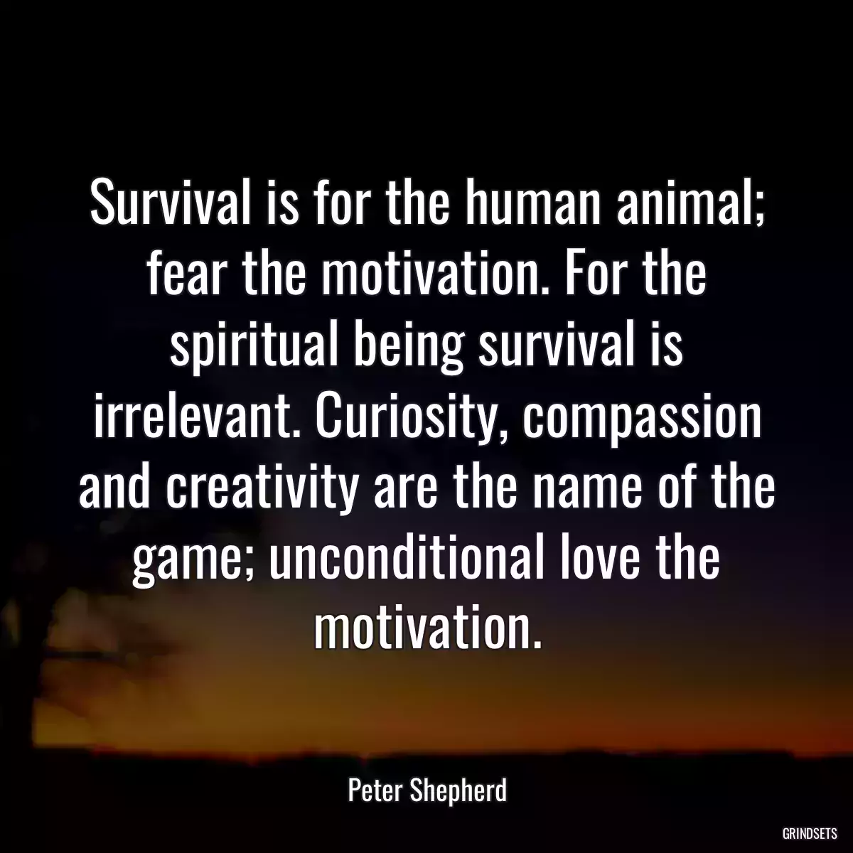 Survival is for the human animal; fear the motivation. For the spiritual being survival is irrelevant. Curiosity, compassion and creativity are the name of the game; unconditional love the motivation.
