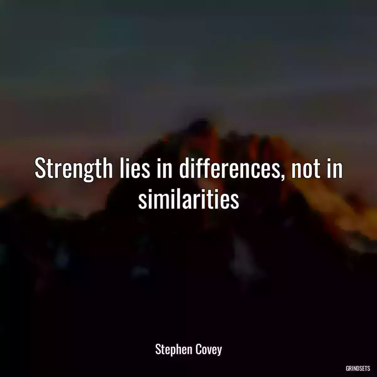 Strength lies in differences, not in similarities