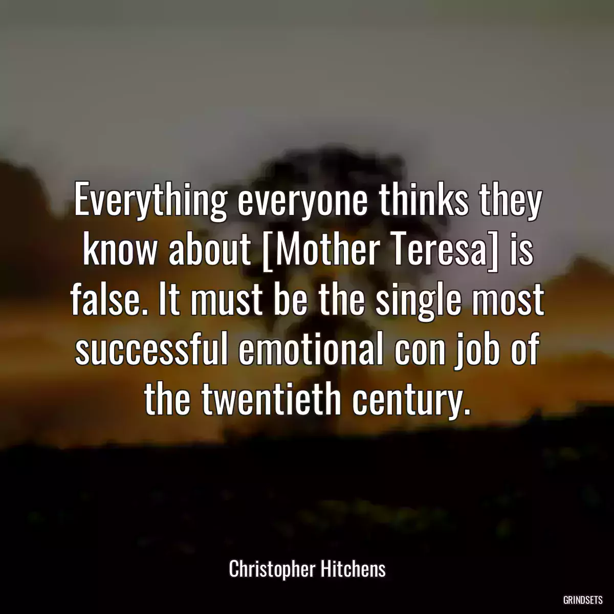 Everything everyone thinks they know about [Mother Teresa] is false. It must be the single most successful emotional con job of the twentieth century.