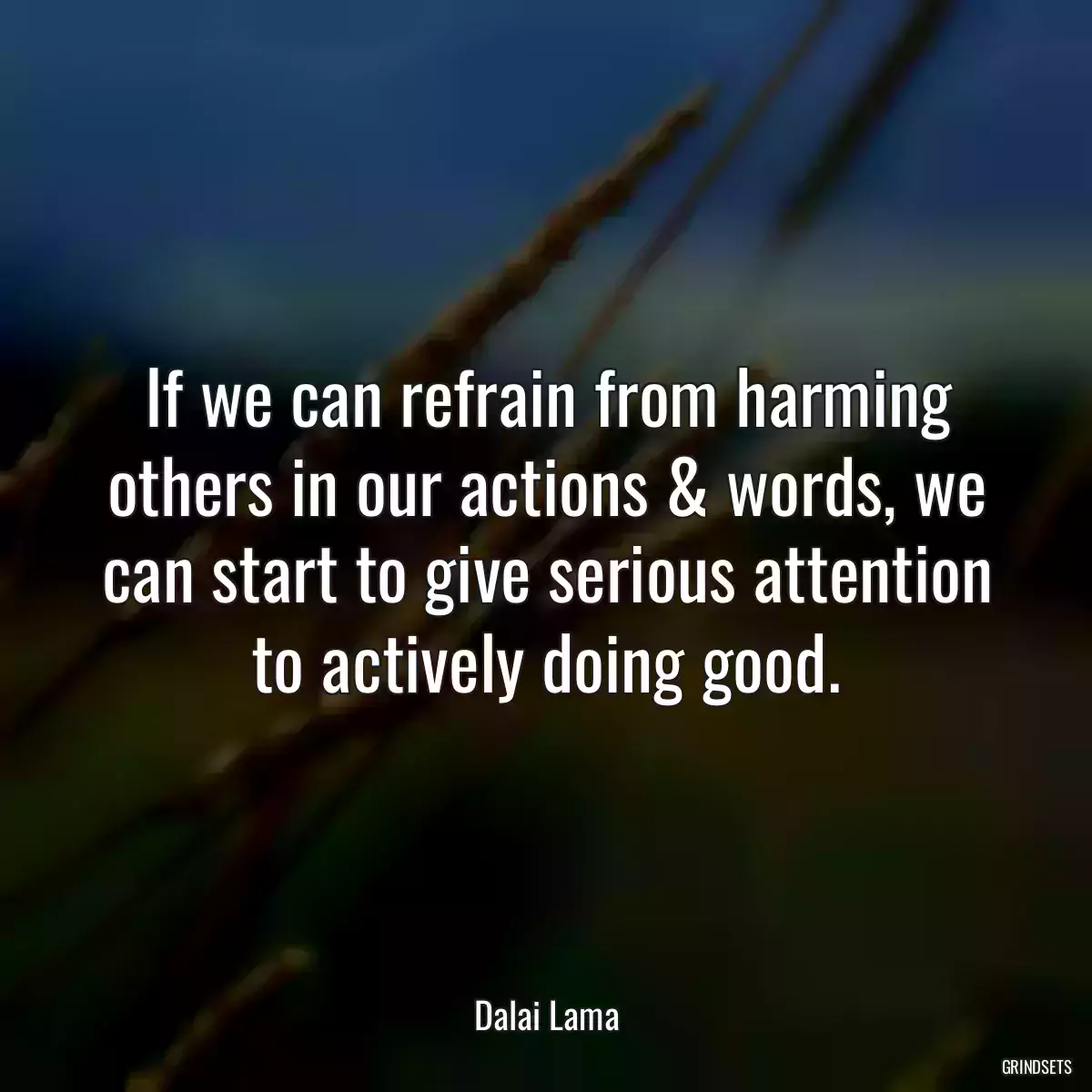 If we can refrain from harming others in our actions & words, we can start to give serious attention to actively doing good.