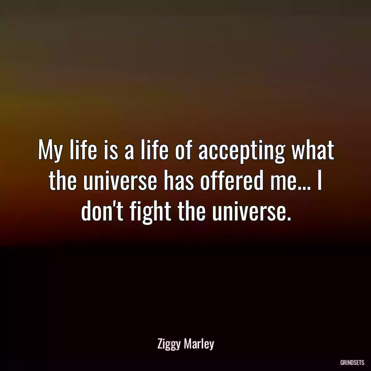 My life is a life of accepting what the universe has offered me... I don\'t fight the universe.