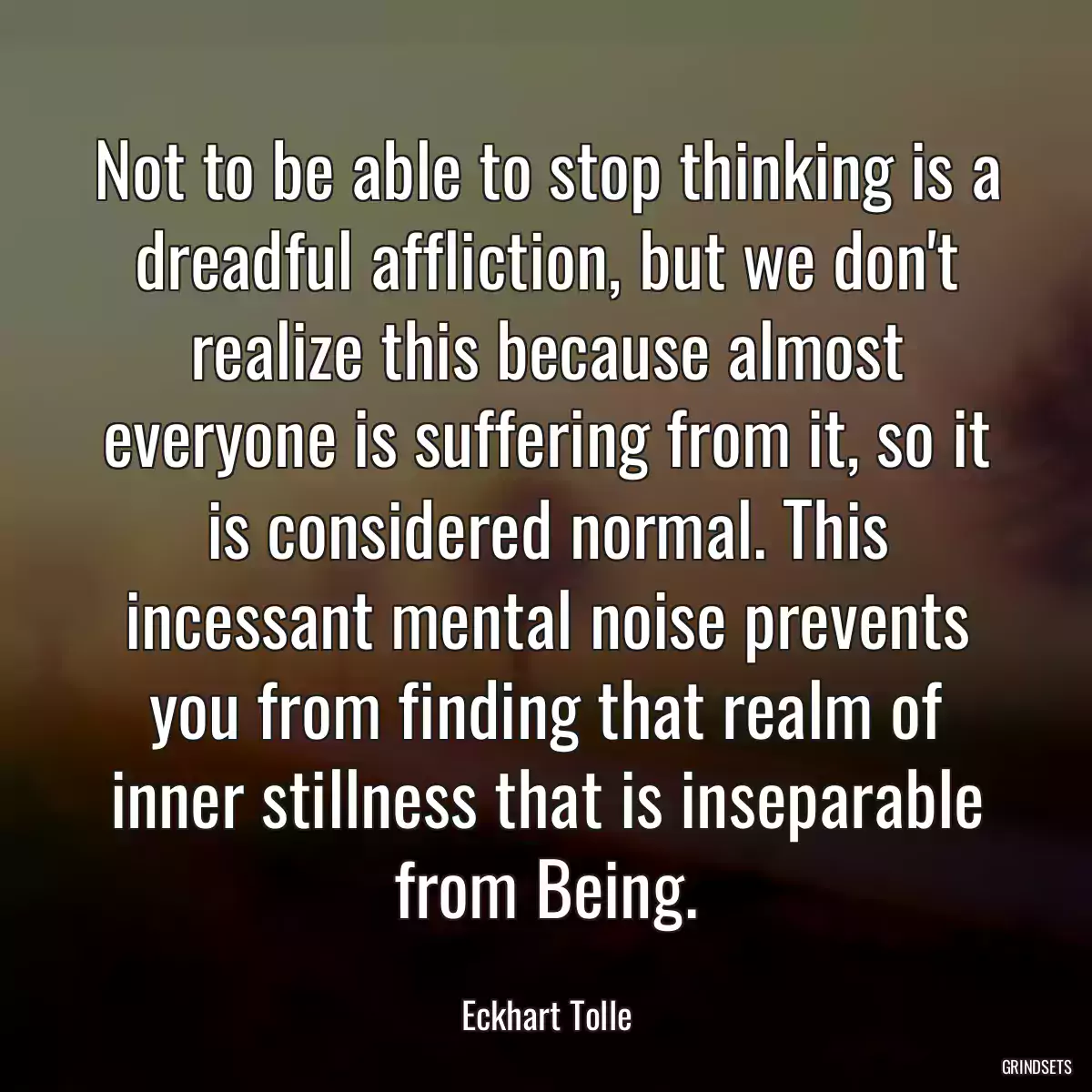 Not to be able to stop thinking is a dreadful affliction, but we don\'t realize this because almost everyone is suffering from it, so it is considered normal. This incessant mental noise prevents you from finding that realm of inner stillness that is inseparable from Being.