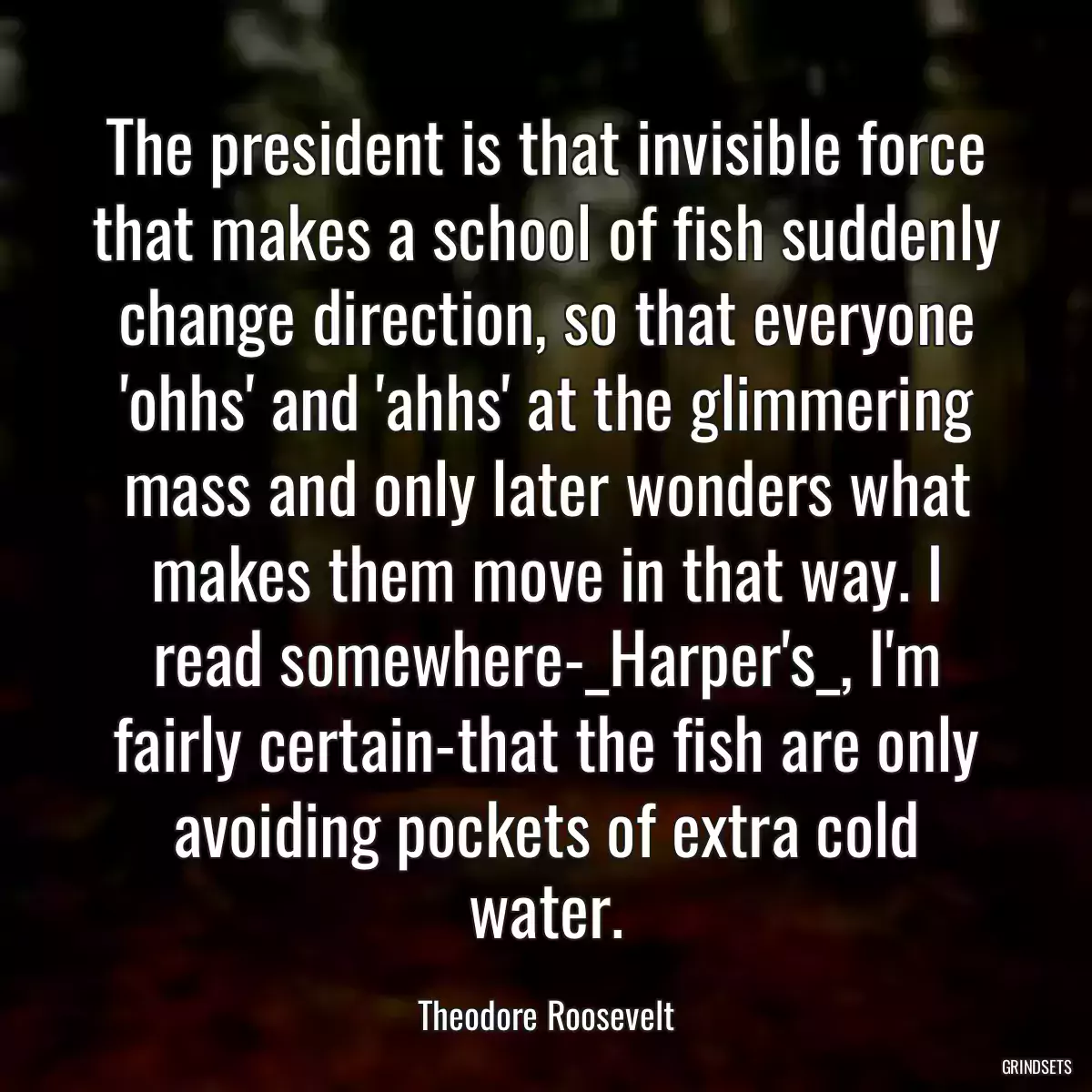 The president is that invisible force that makes a school of fish suddenly change direction, so that everyone \'ohhs\' and \'ahhs\' at the glimmering mass and only later wonders what makes them move in that way. I read somewhere-_Harper\'s_, I\'m fairly certain-that the fish are only avoiding pockets of extra cold water.