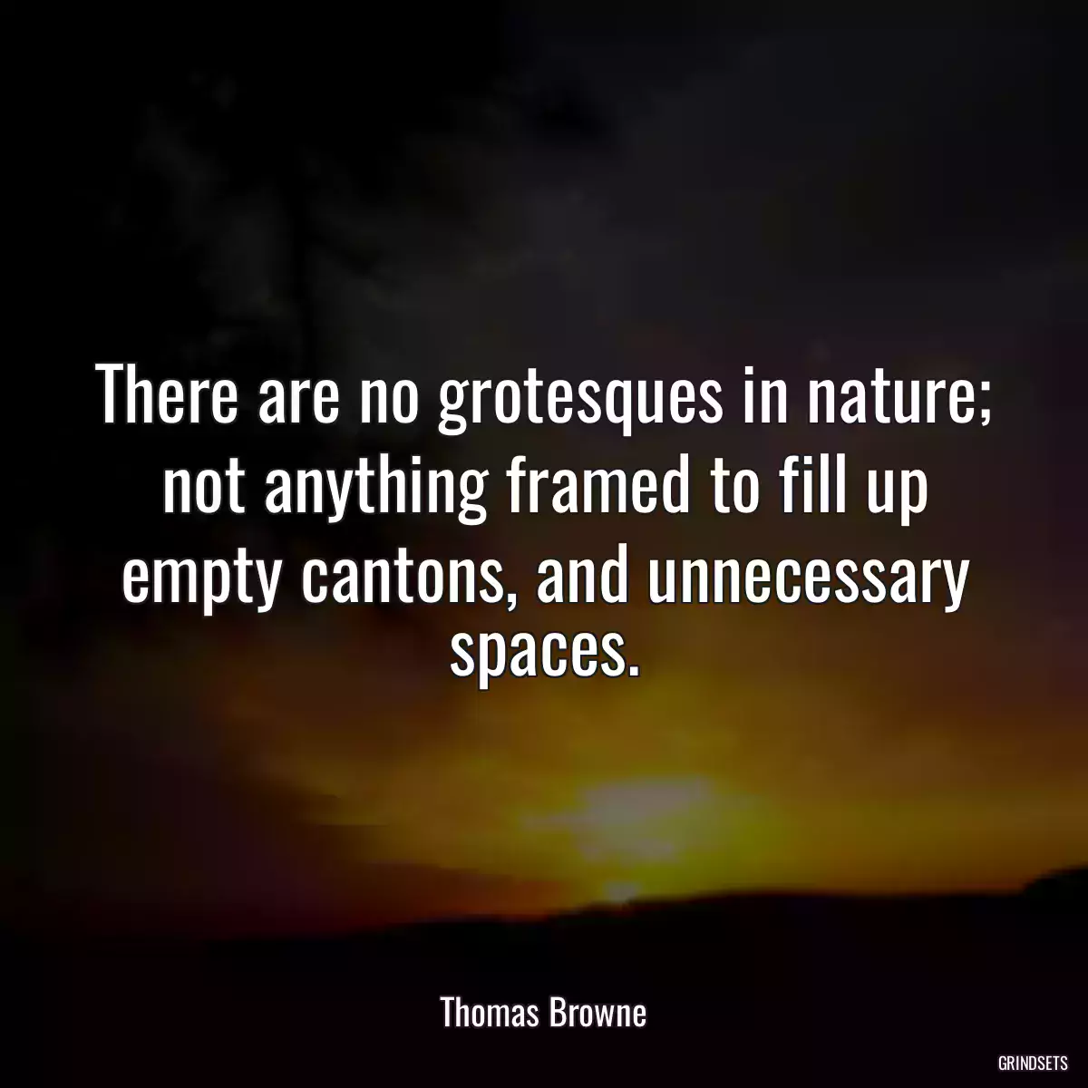 There are no grotesques in nature; not anything framed to fill up empty cantons, and unnecessary spaces.