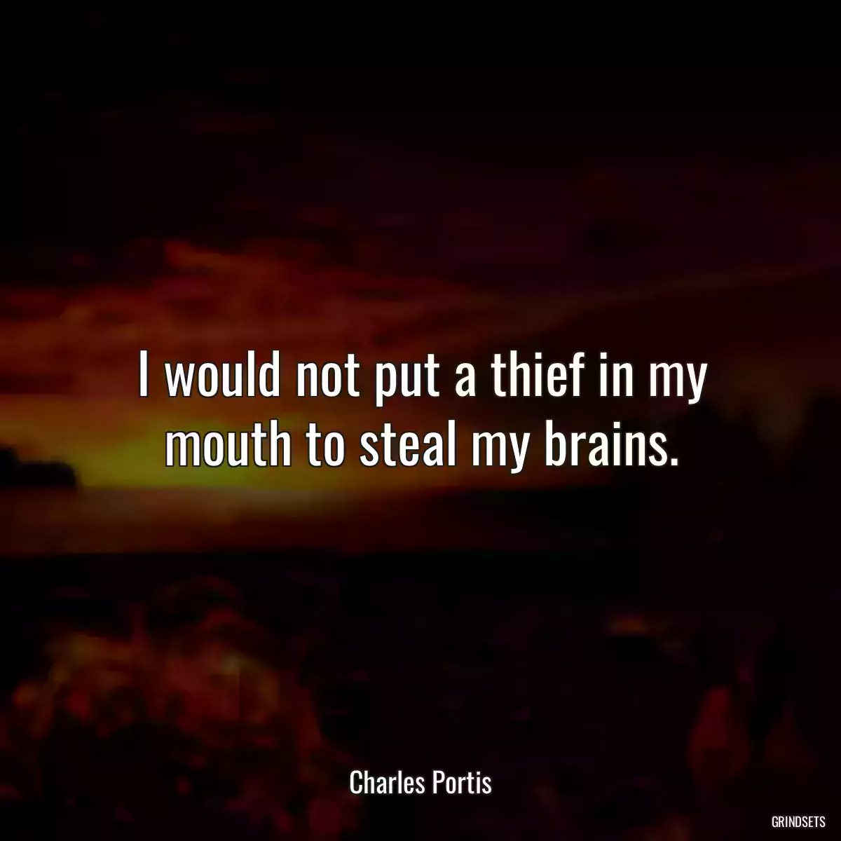 I would not put a thief in my mouth to steal my brains.