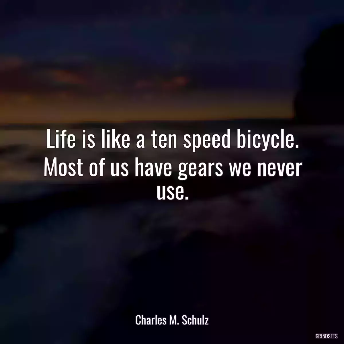 Life is like a ten speed bicycle. Most of us have gears we never use.