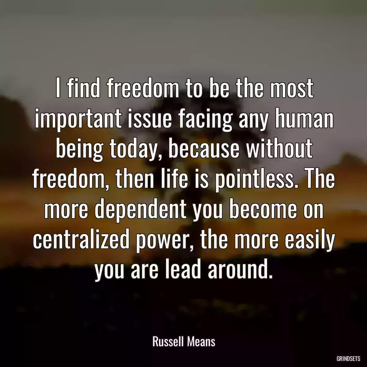 I find freedom to be the most important issue facing any human being today, because without freedom, then life is pointless. The more dependent you become on centralized power, the more easily you are lead around.