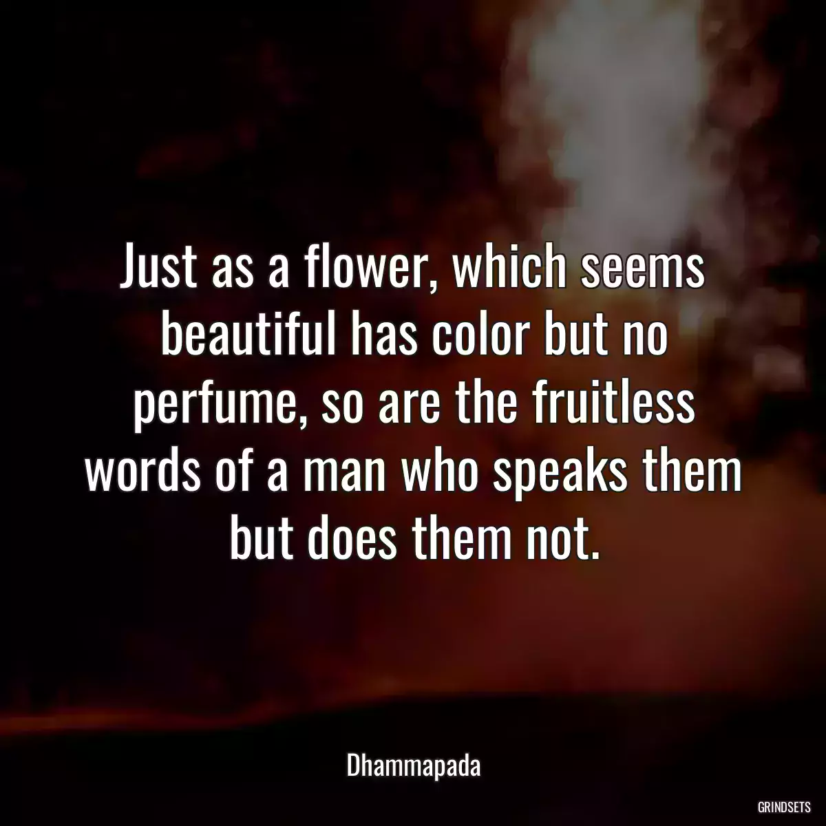 Just as a flower, which seems beautiful has color but no perfume, so are the fruitless words of a man who speaks them but does them not.