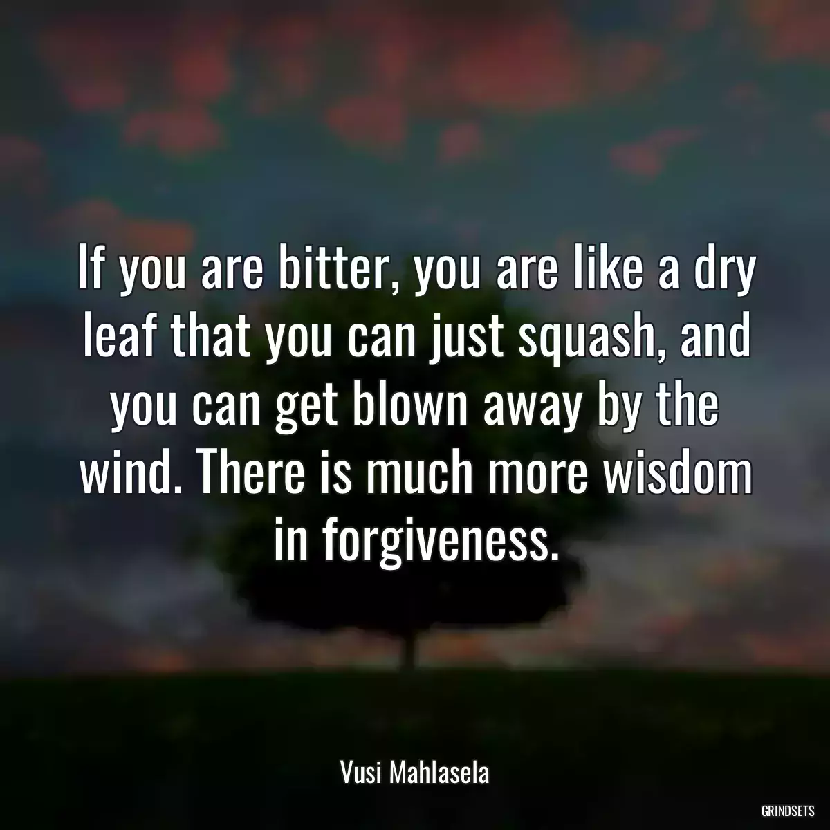 If you are bitter, you are like a dry leaf that you can just squash, and you can get blown away by the wind. There is much more wisdom in forgiveness.