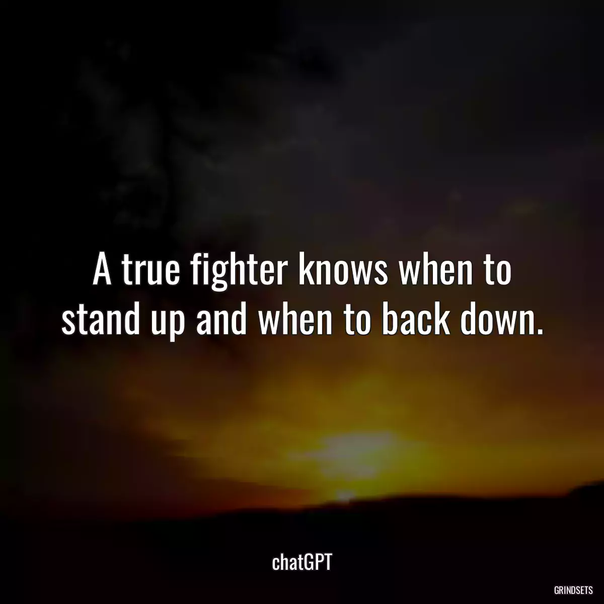 A true fighter knows when to stand up and when to back down.