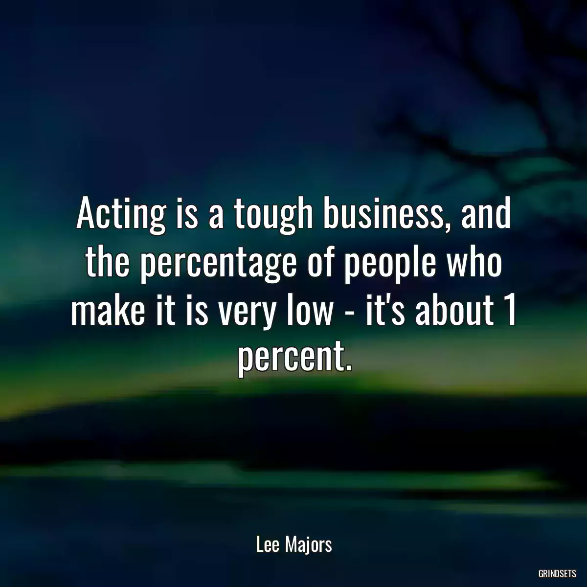 Acting is a tough business, and the percentage of people who make it is very low - it\'s about 1 percent.