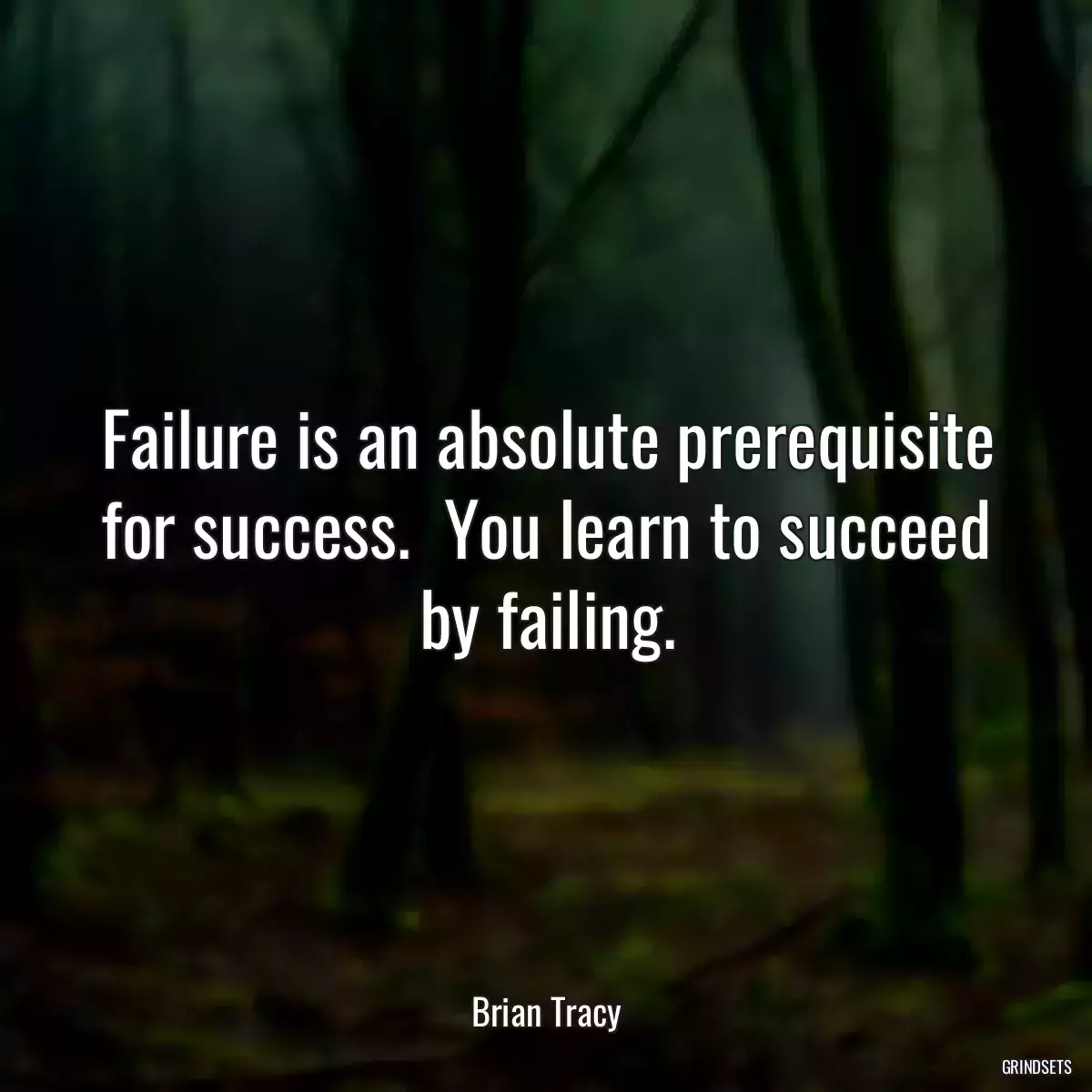 Failure is an absolute prerequisite for success.  You learn to succeed by failing.