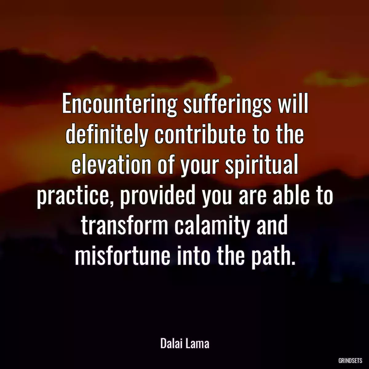 Encountering sufferings will definitely contribute to the elevation of your spiritual practice, provided you are able to transform calamity and misfortune into the path.