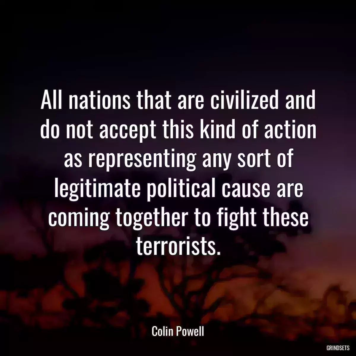 All nations that are civilized and do not accept this kind of action as representing any sort of legitimate political cause are coming together to fight these terrorists.