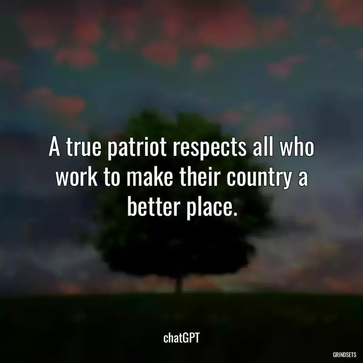 A true patriot respects all who work to make their country a better place.