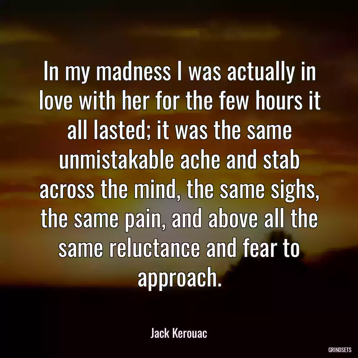 In my madness I was actually in love with her for the few hours it all lasted; it was the same unmistakable ache and stab across the mind, the same sighs, the same pain, and above all the same reluctance and fear to approach.