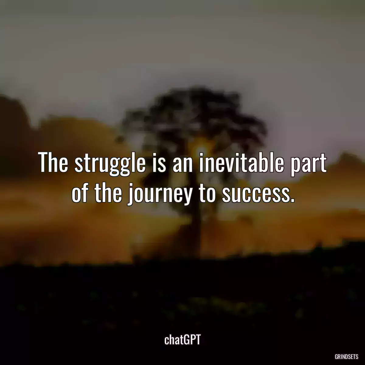 The struggle is an inevitable part of the journey to success.