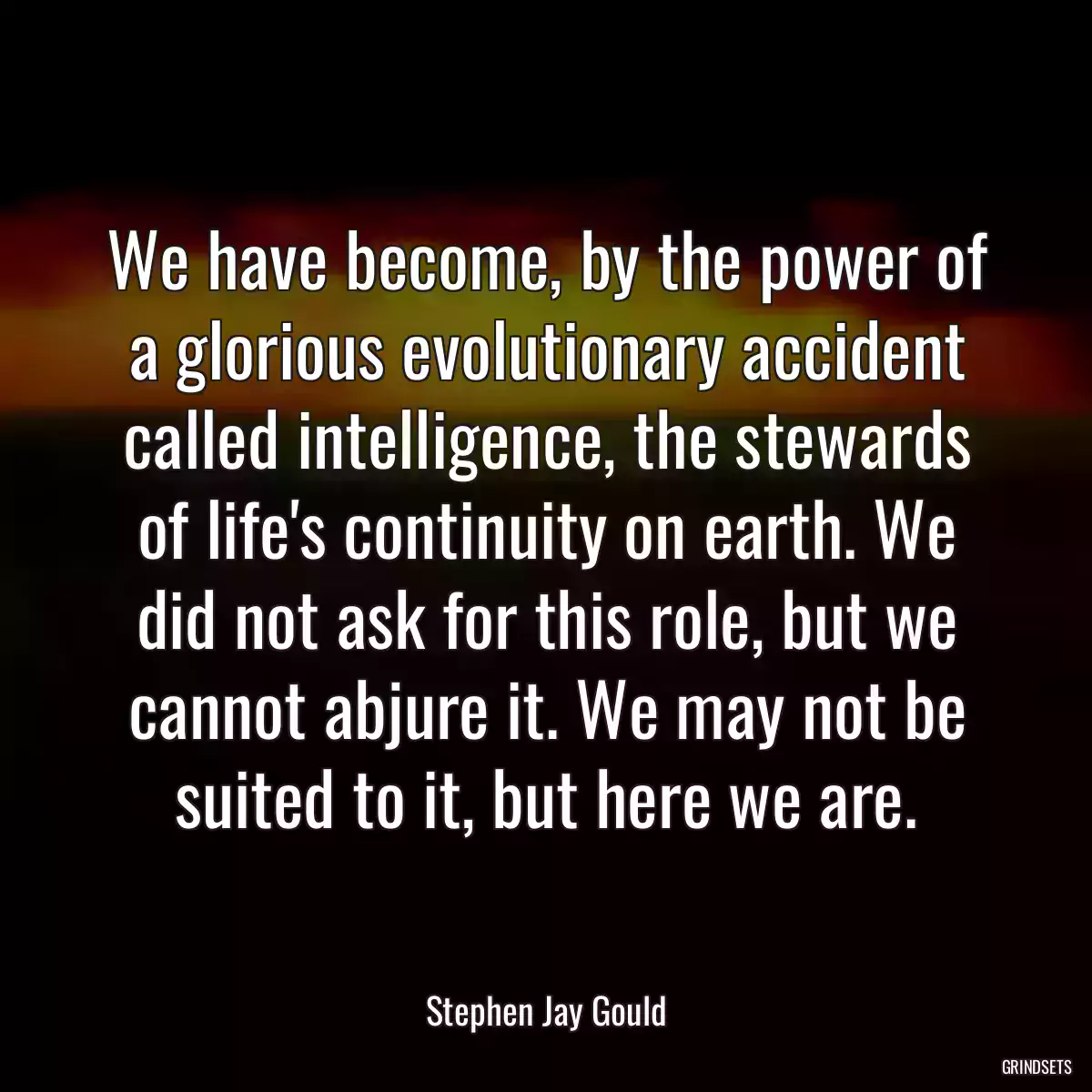 We have become, by the power of a glorious evolutionary accident called intelligence, the stewards of life\'s continuity on earth. We did not ask for this role, but we cannot abjure it. We may not be suited to it, but here we are.