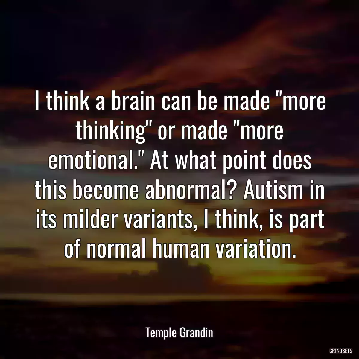 I think a brain can be made \