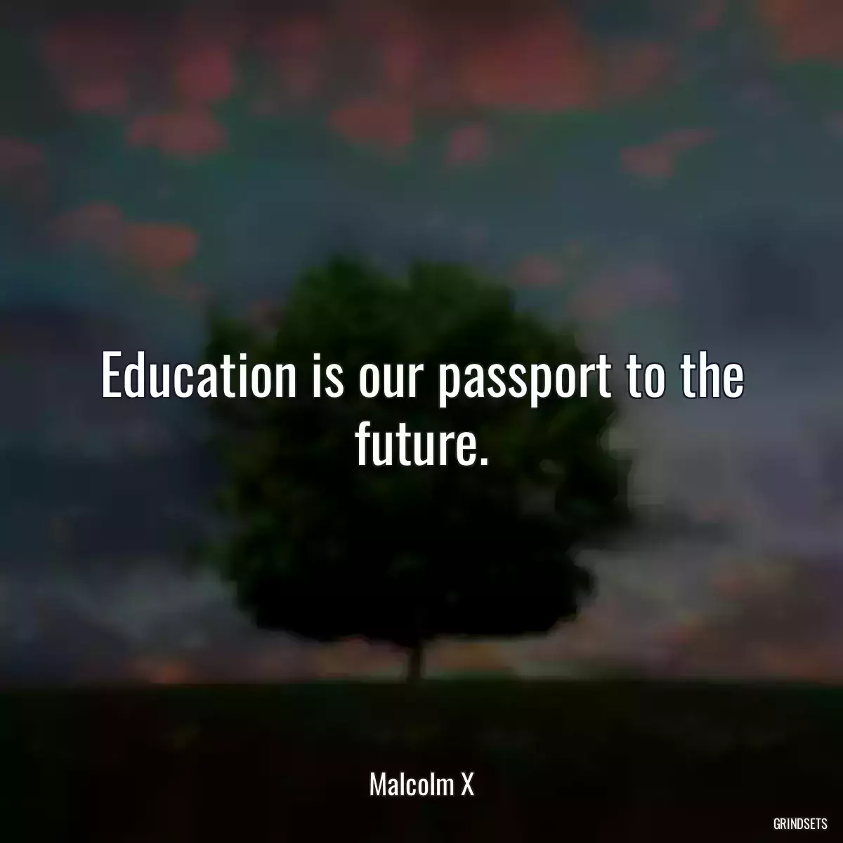 Education is our passport to the future.