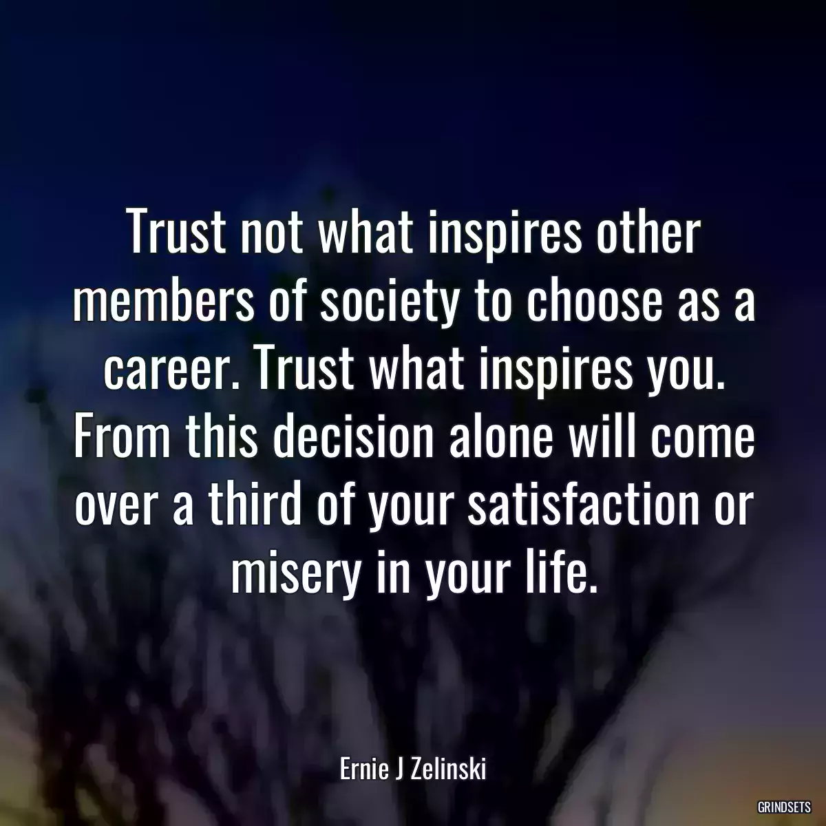 Trust not what inspires other members of society to choose as a career. Trust what inspires you. From this decision alone will come over a third of your satisfaction or misery in your life.