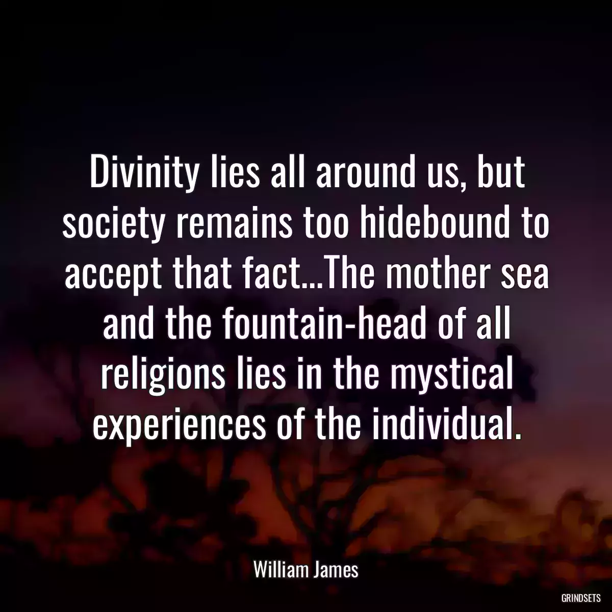 Divinity lies all around us, but society remains too hidebound to accept that fact...The mother sea and the fountain-head of all religions lies in the mystical experiences of the individual.