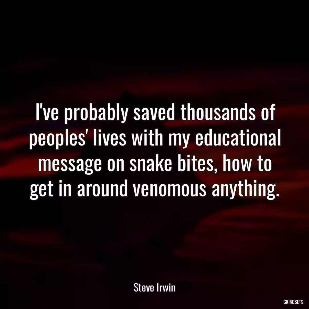 I\'ve probably saved thousands of peoples\' lives with my educational message on snake bites, how to get in around venomous anything.