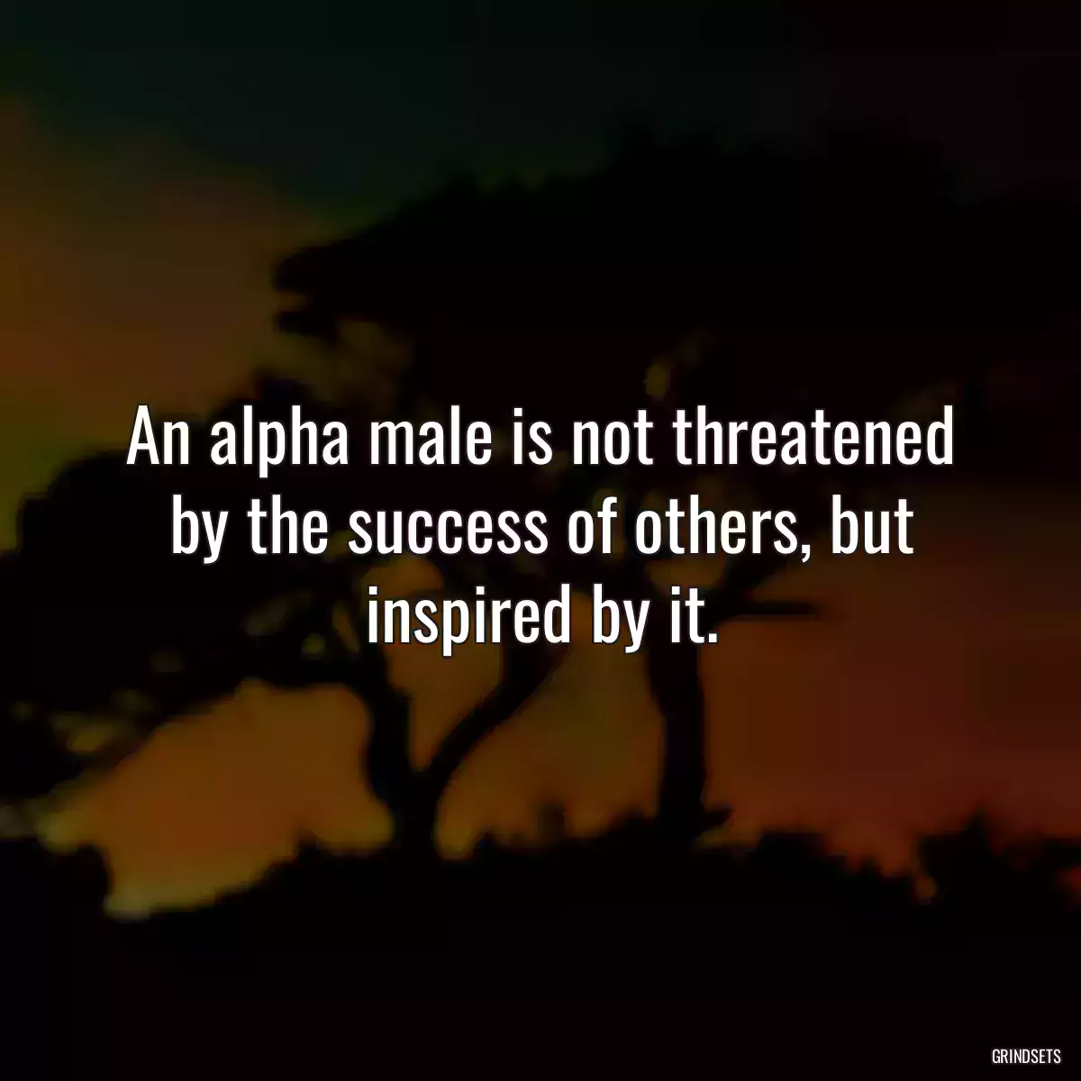 An alpha male is not threatened by the success of others, but inspired by it.