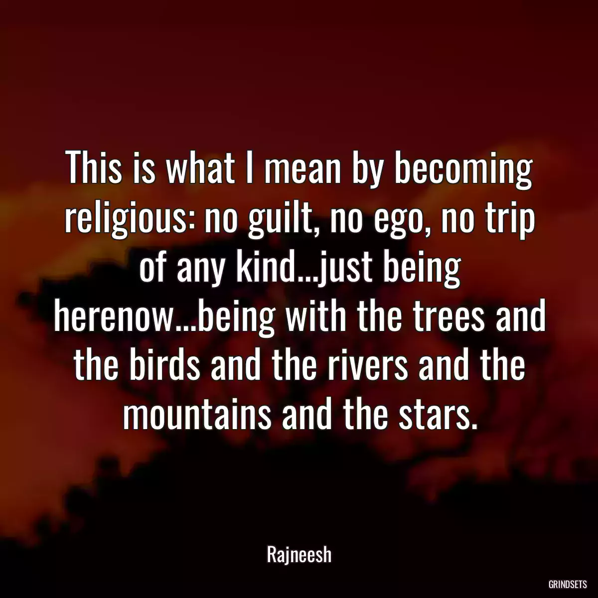 This is what I mean by becoming religious: no guilt, no ego, no trip of any kind...just being herenow...being with the trees and the birds and the rivers and the mountains and the stars.