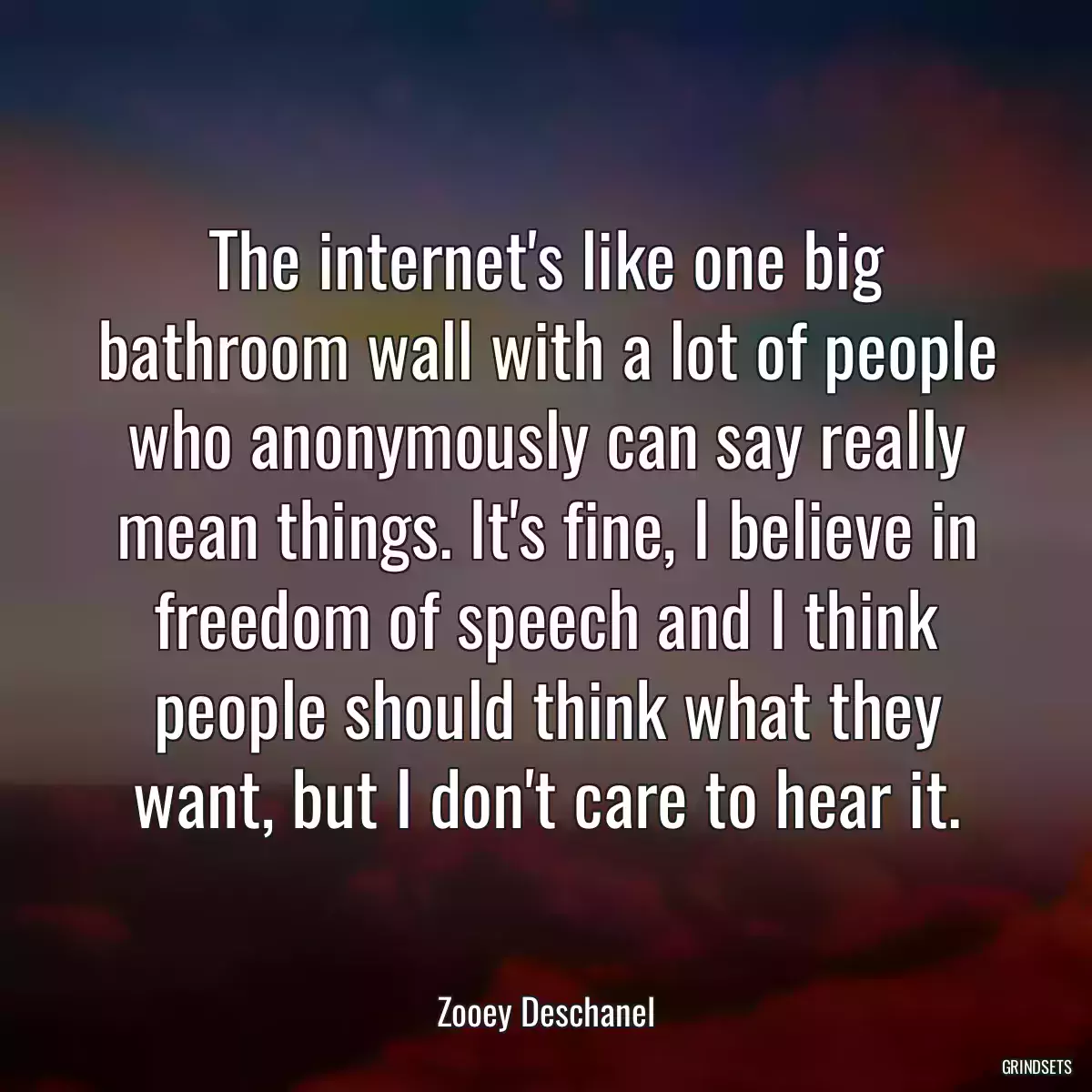 The internet\'s like one big bathroom wall with a lot of people who anonymously can say really mean things. It\'s fine, I believe in freedom of speech and I think people should think what they want, but I don\'t care to hear it.