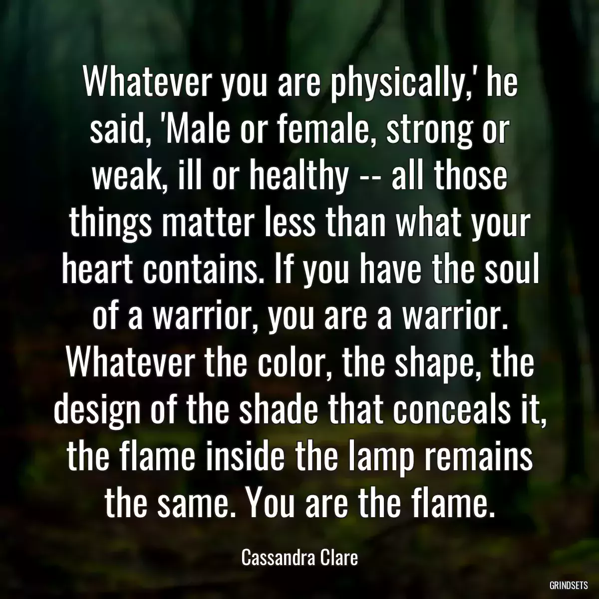 Whatever you are physically,\' he said, \'Male or female, strong or weak, ill or healthy -- all those things matter less than what your heart contains. If you have the soul of a warrior, you are a warrior. Whatever the color, the shape, the design of the shade that conceals it, the flame inside the lamp remains the same. You are the flame.