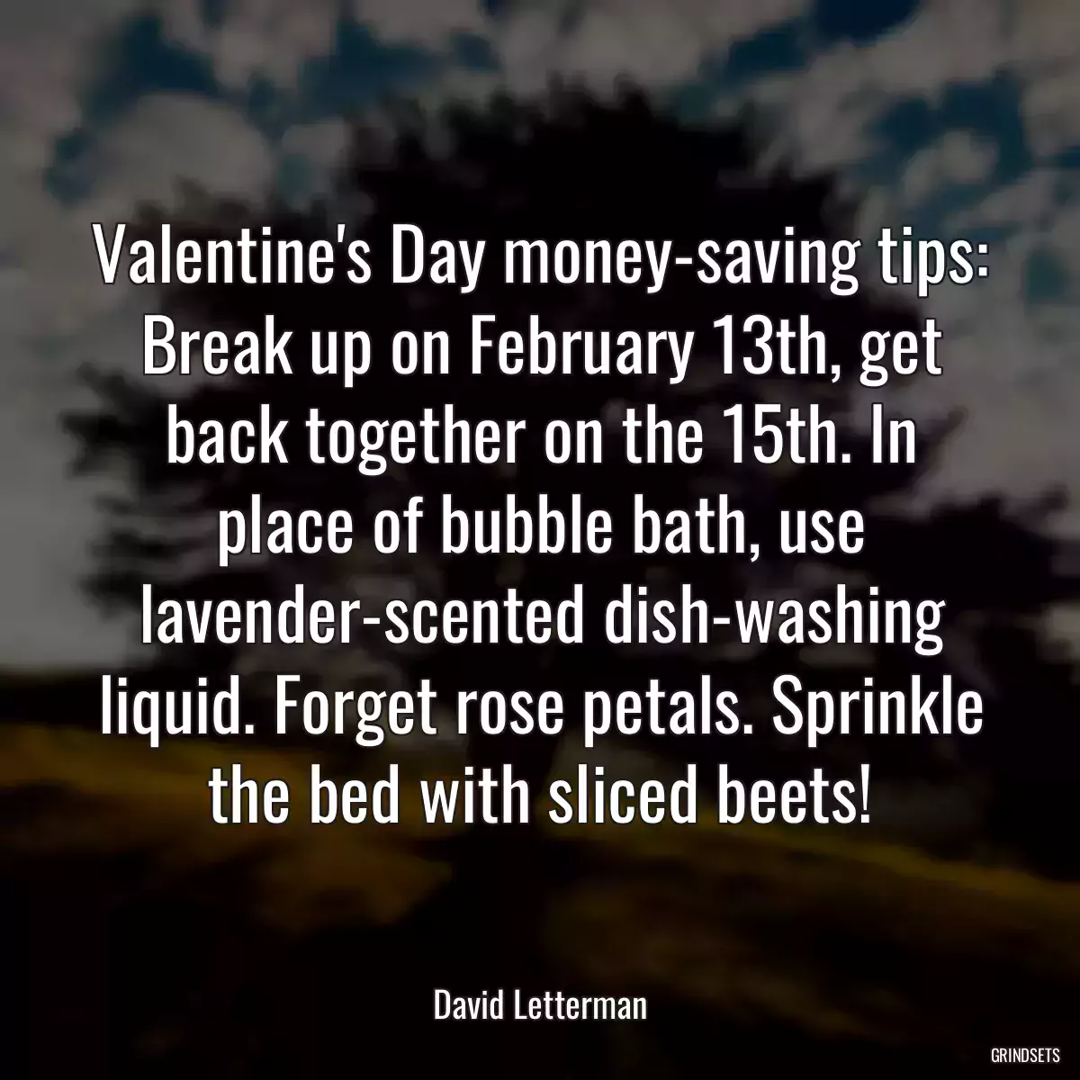 Valentine\'s Day money-saving tips: Break up on February 13th, get back together on the 15th. In place of bubble bath, use lavender-scented dish-washing liquid. Forget rose petals. Sprinkle the bed with sliced beets!