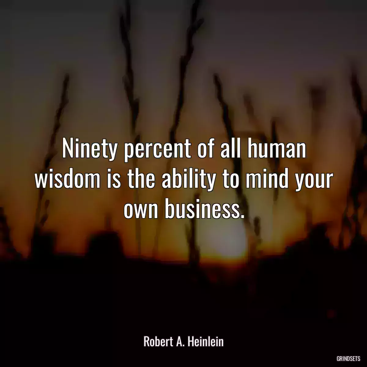 Ninety percent of all human wisdom is the ability to mind your own business.