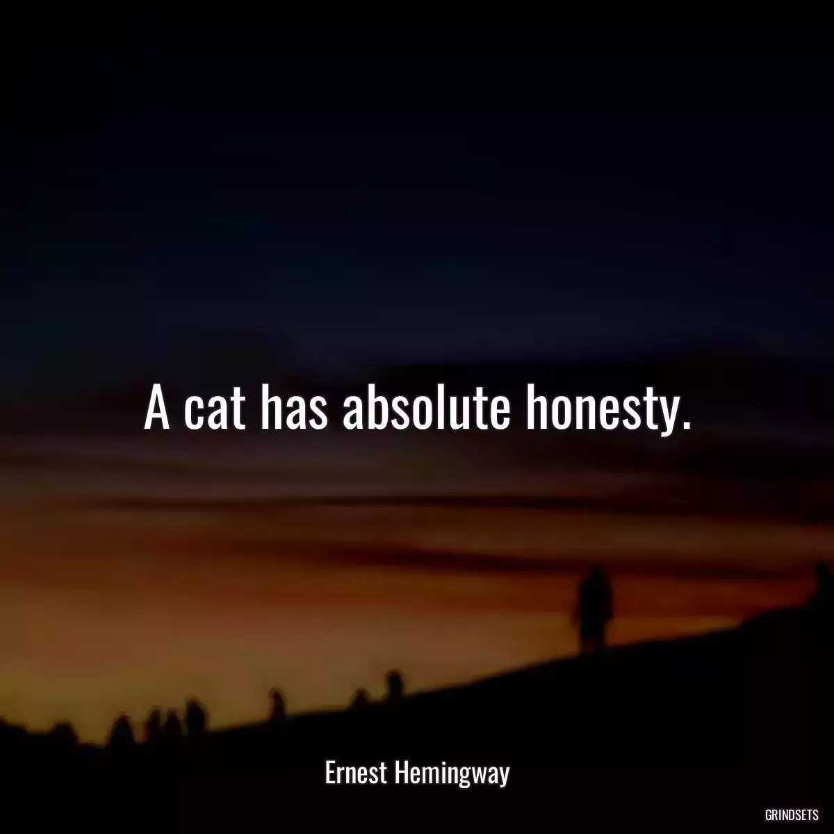 A cat has absolute honesty.