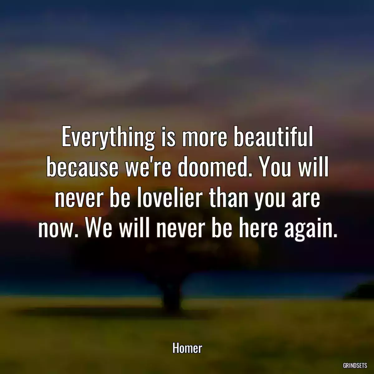 Everything is more beautiful because we\'re doomed. You will never be lovelier than you are now. We will never be here again.