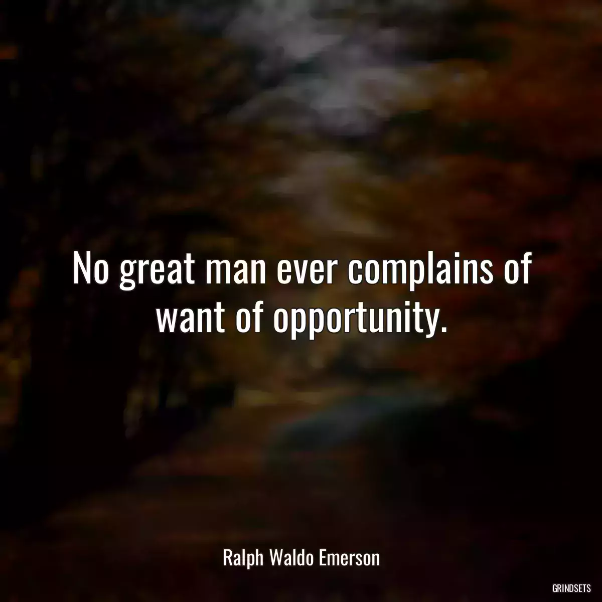 No great man ever complains of want of opportunity.