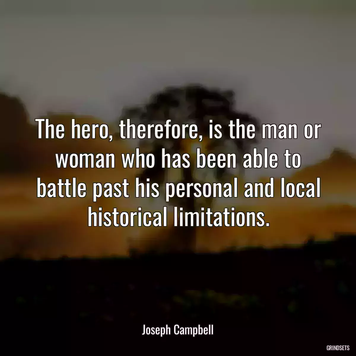 The hero, therefore, is the man or woman who has been able to battle past his personal and local historical limitations.