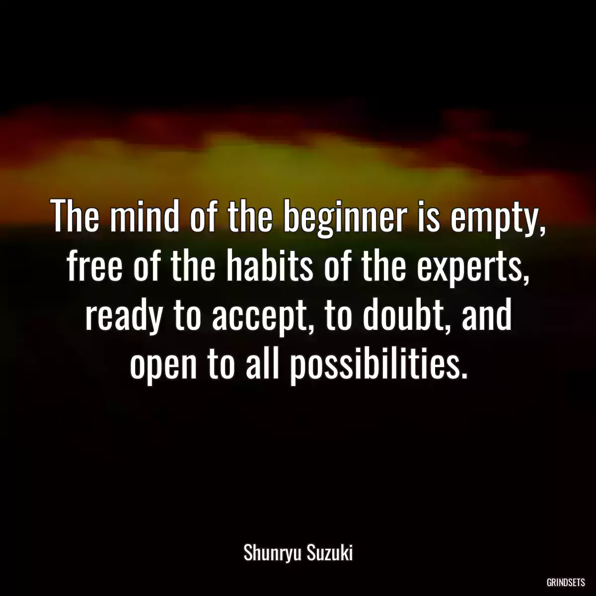 The mind of the beginner is empty, free of the habits of the experts, ready to accept, to doubt, and open to all possibilities.