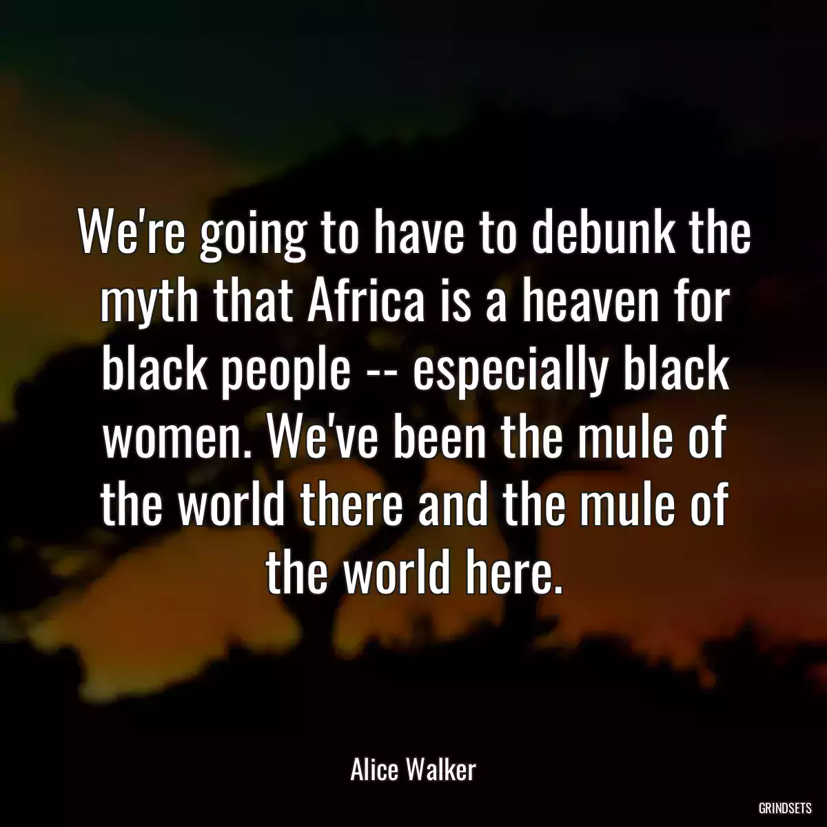 We\'re going to have to debunk the myth that Africa is a heaven for black people -- especially black women. We\'ve been the mule of the world there and the mule of the world here.