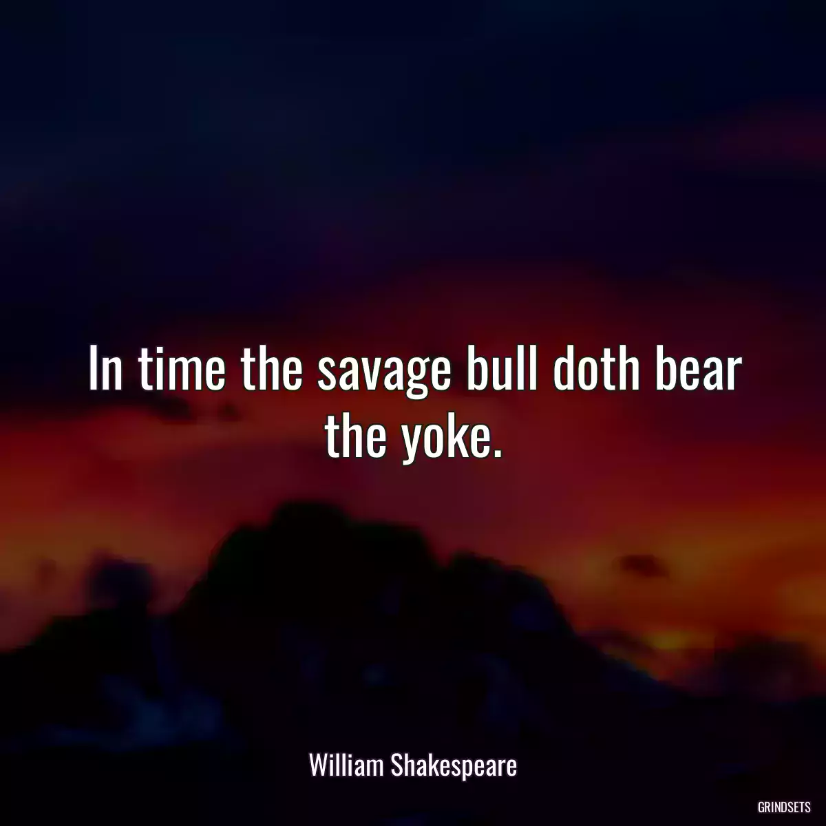 In time the savage bull doth bear the yoke.